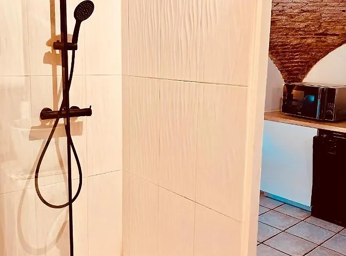 Appartement Coup De Coeur Bastiais Et Caractere *
